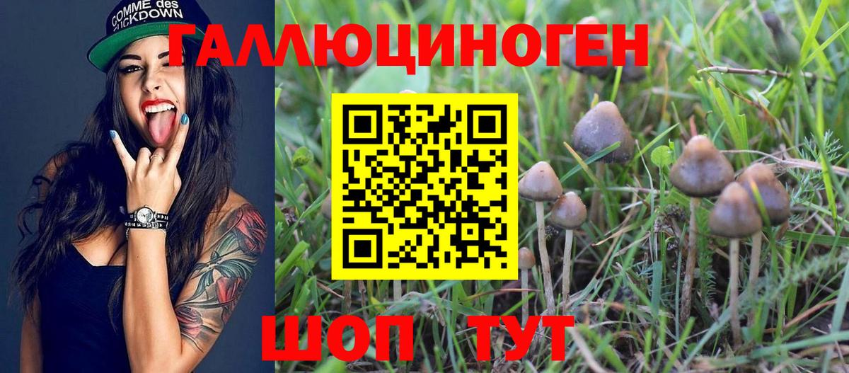 Галлюциногенные грибы прущие грибы Химки