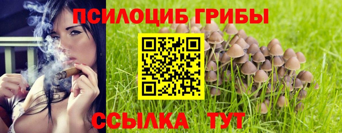 Псилоцибиновые грибы ЛСД  Галлюциногенные грибы мицелий  даркнет сайт  Химки  Вход с VPN 
